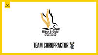 Black and Gold Chiropractic PARTNERS PAGE
