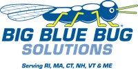 Big Blue Bug Solutions