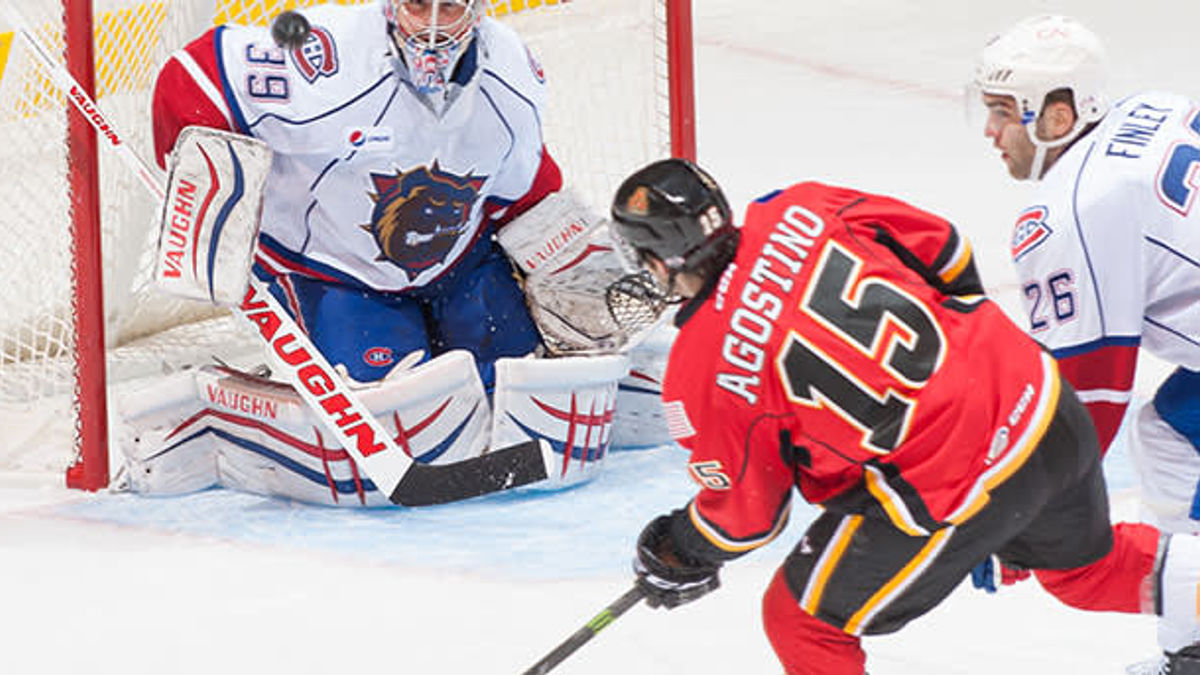 FLAMES DOMINATE THE DOGS IN 5-0 VICTORY