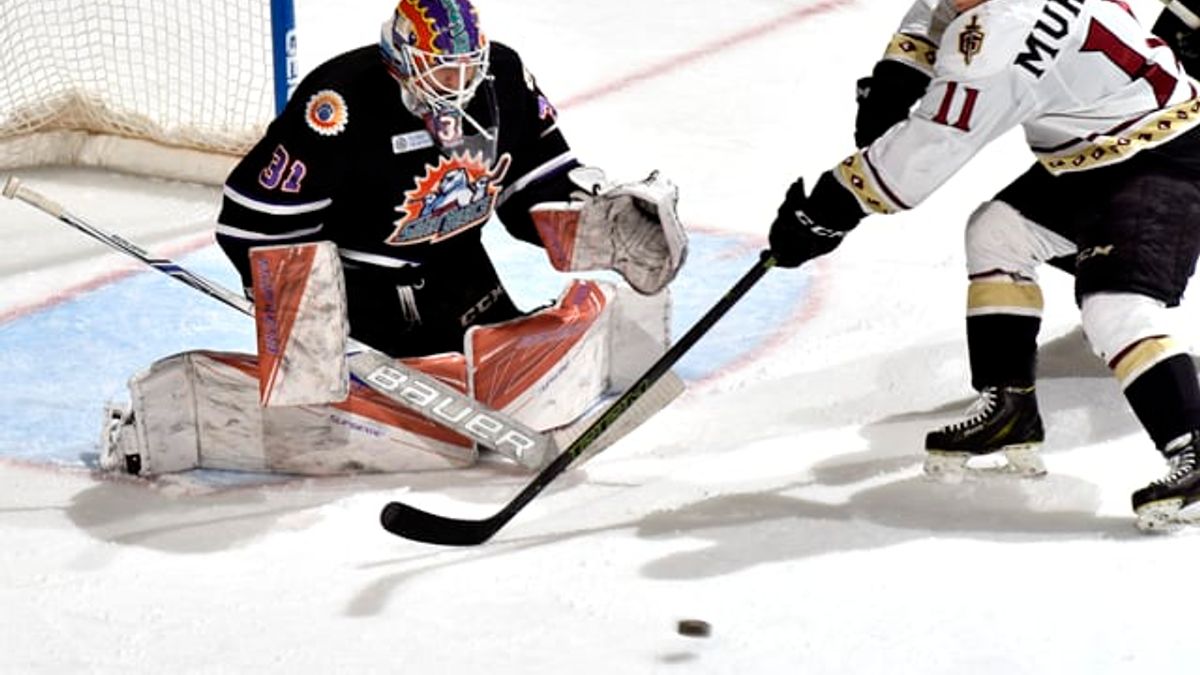 Gladiators Blanked 4-0 by Solar Bears