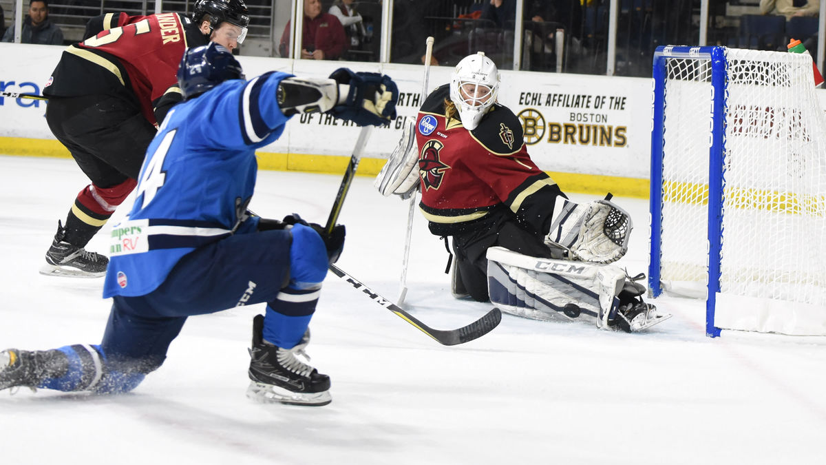 Glads Shutout Jacksonville 4-0 on Home Ice to End Skid