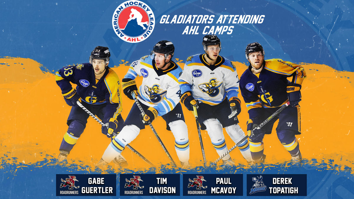 Gladiators Send Four to AHL Training Camps