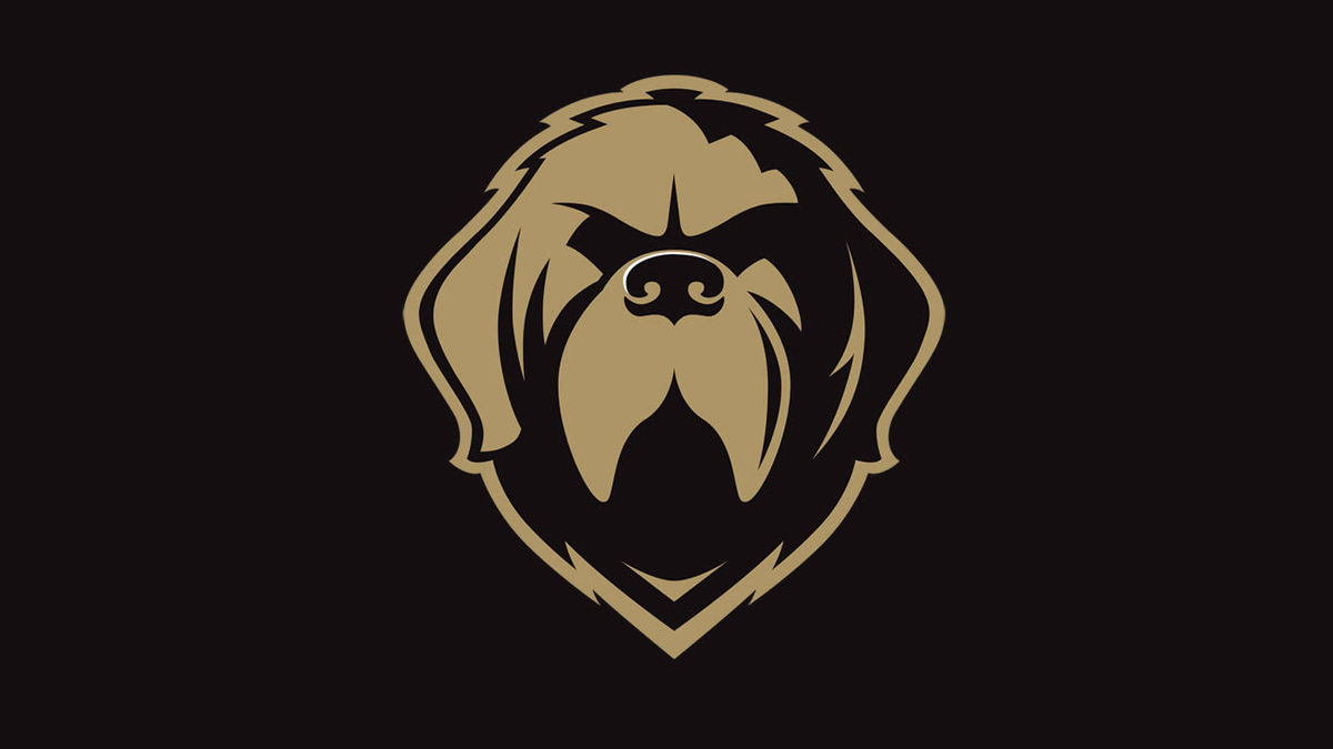 Snowden takes over as Growlers head coach