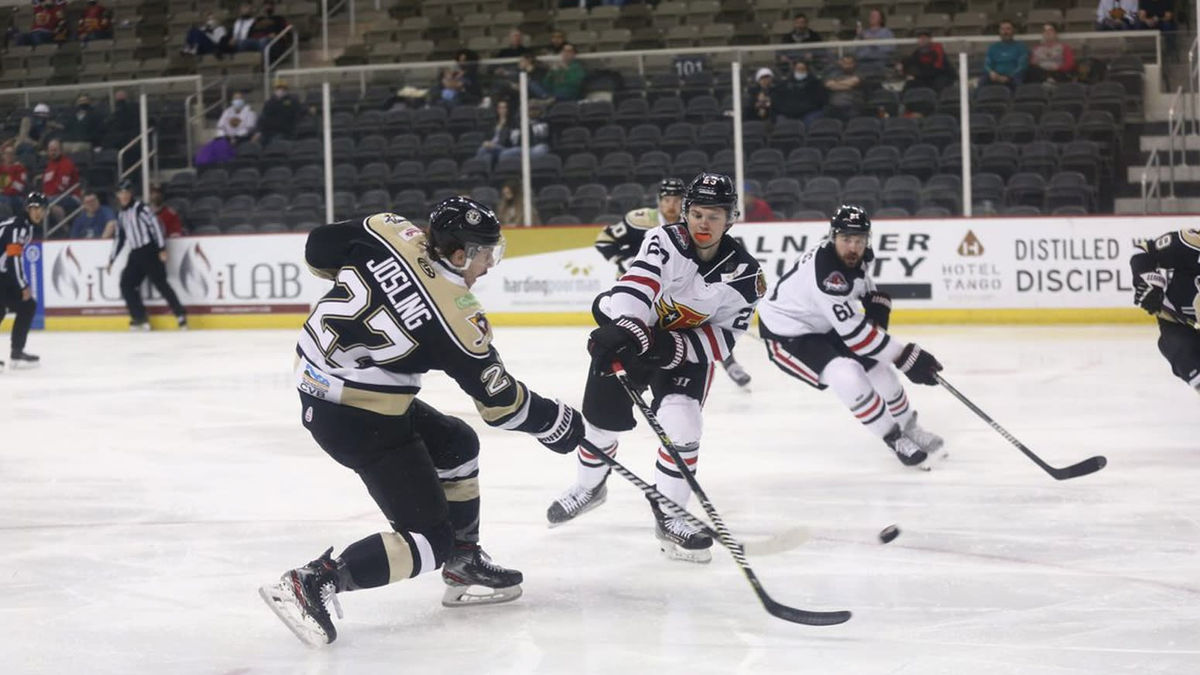 Action photo of Sean Josling of the Wheeling Nailers
