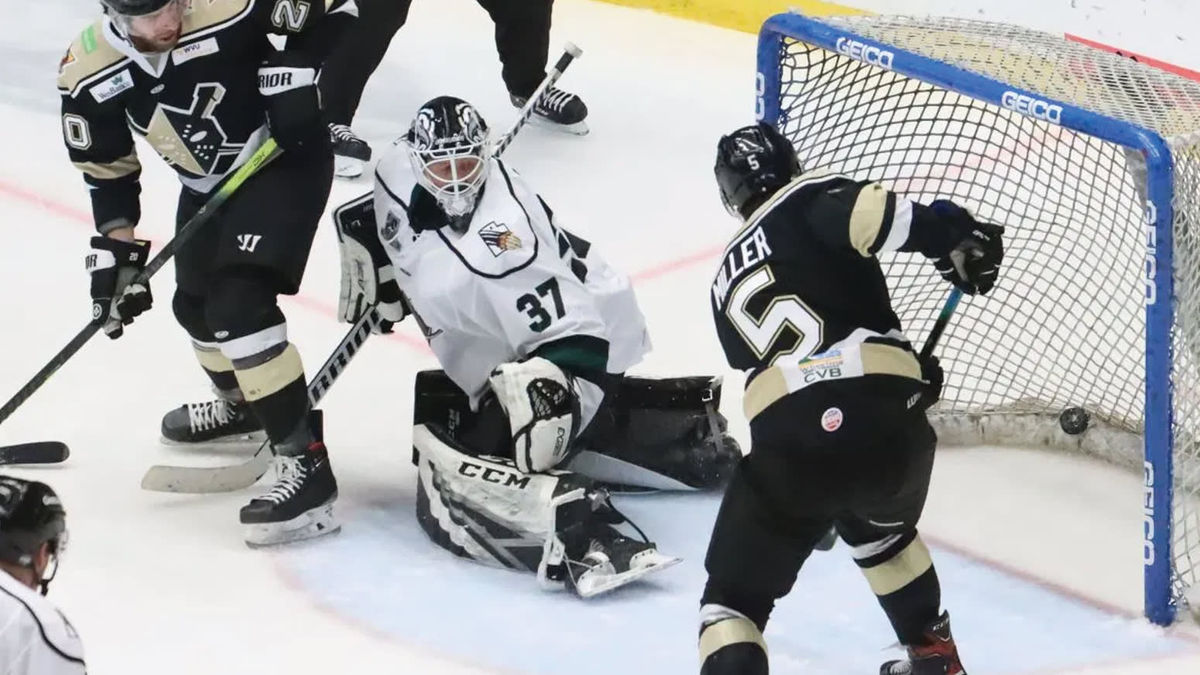 Miller re-signs with Nailers