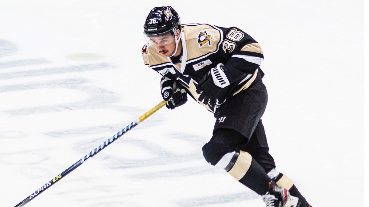 Action photo of Sam Houde of the Wheeling Nailers