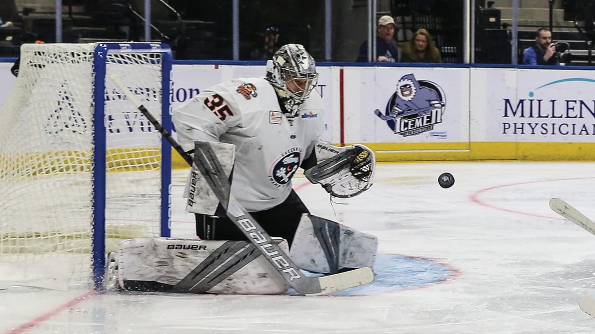 Greenville&#039;s Ingham named Warrior Hockey/ECHL Goaltender of the Week