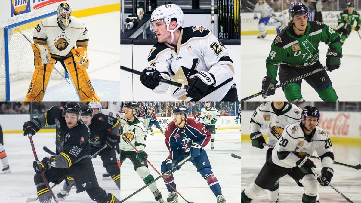 ECHL announces 2021-22 All-Rookie Team