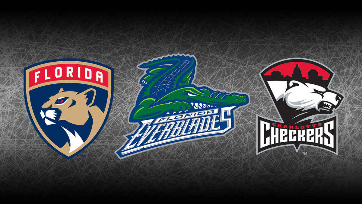 Everblades enter affiliation agreement with Florida Panthers