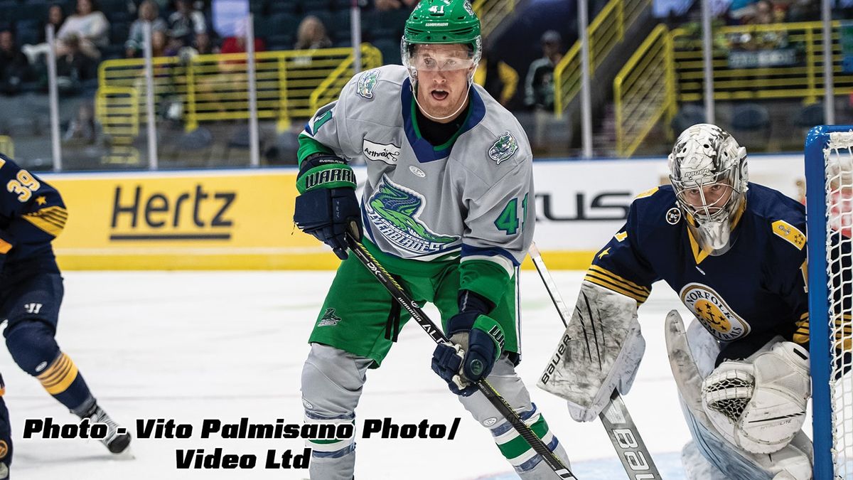 Winiecki re-signs with Everblades
