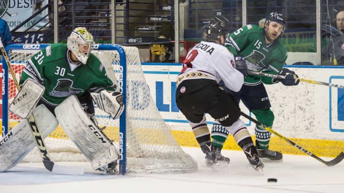 Peters Perfect as Everblades Shutout Gladiators 4-0