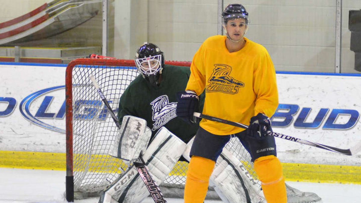Spots Still Available for Everblades Free Agent Camp