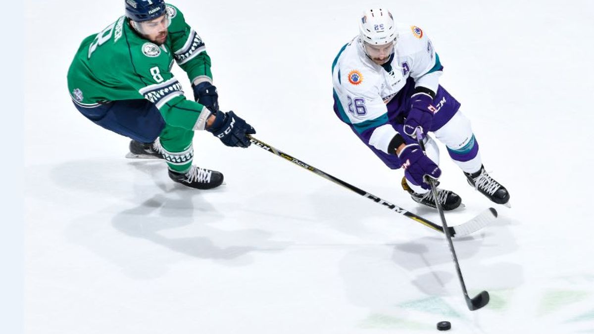 &#039;Blades Shine in 4-2 Victory Over Solar Bears on Saturday
