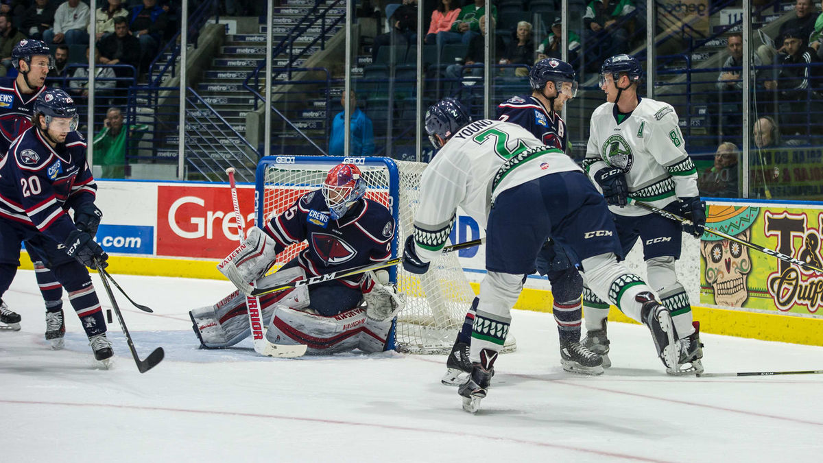 Everblades Stung by Rays with Late Goal