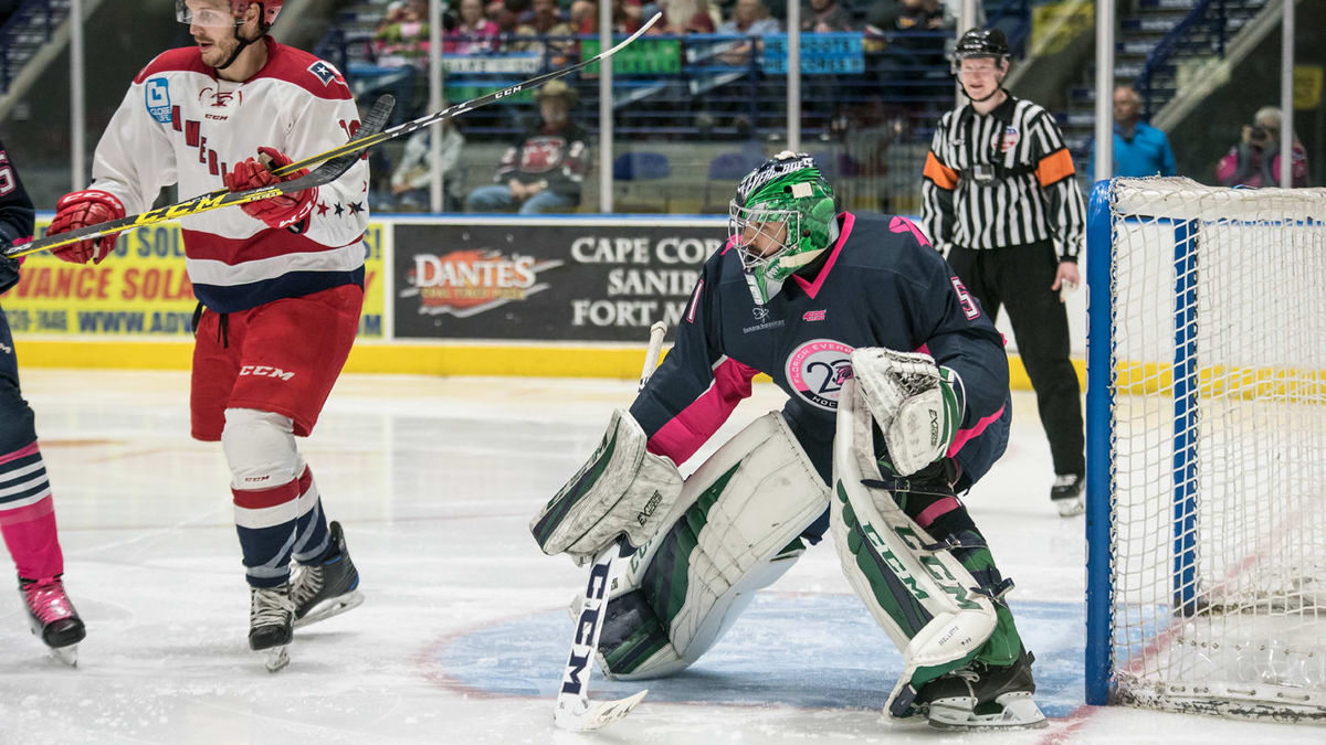Everblades Outmuscle Americans 4-0