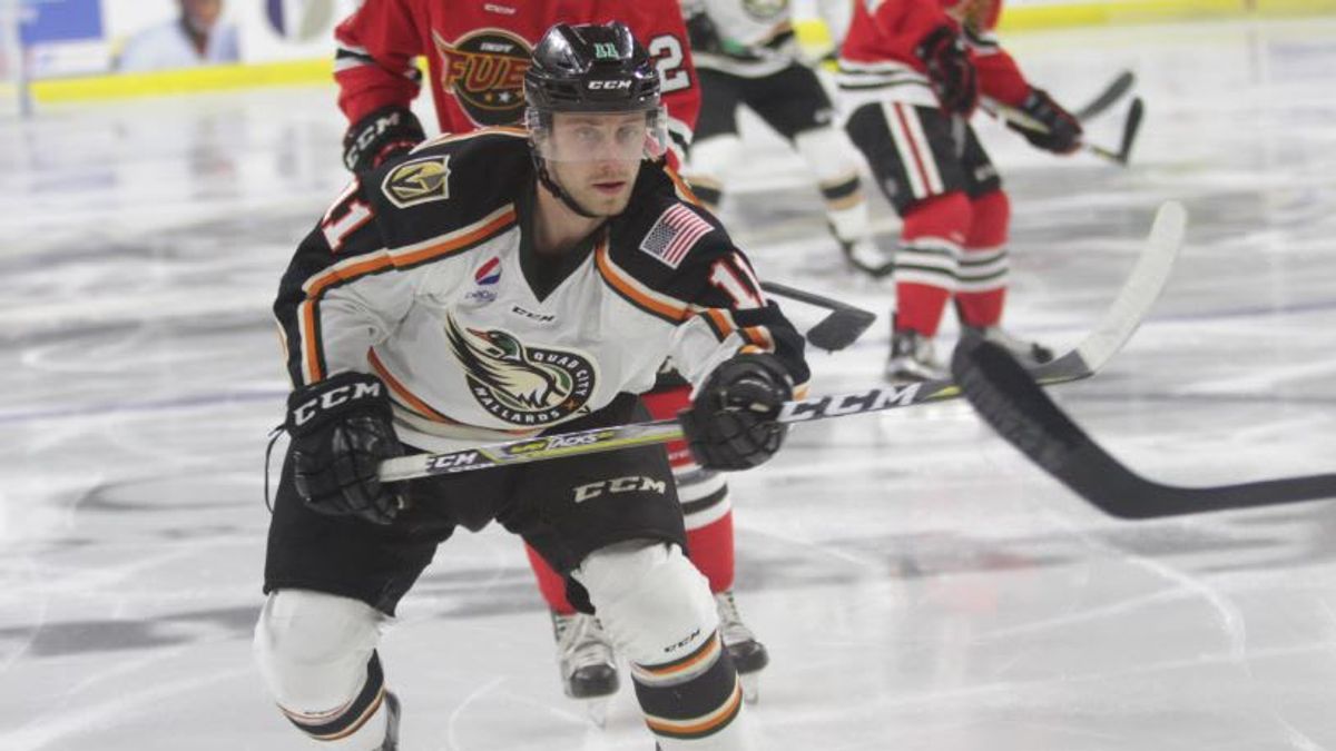 Everblades Acquire Forward Sam Warning from Quad City
