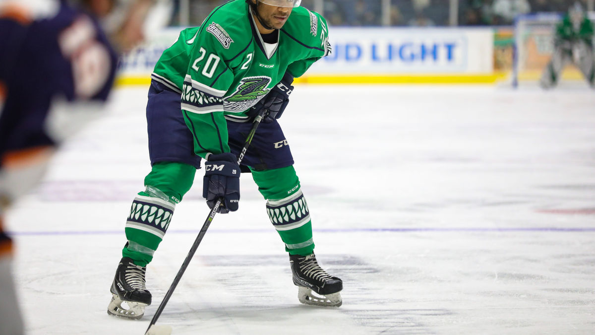 GAME DAY: Everblades at Rapid City - Jan. 18