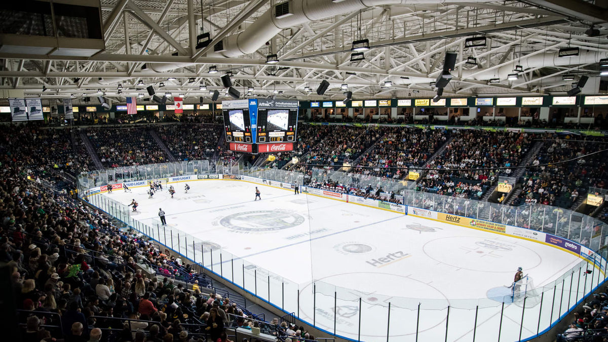 Everblades single-game tickets now on sale