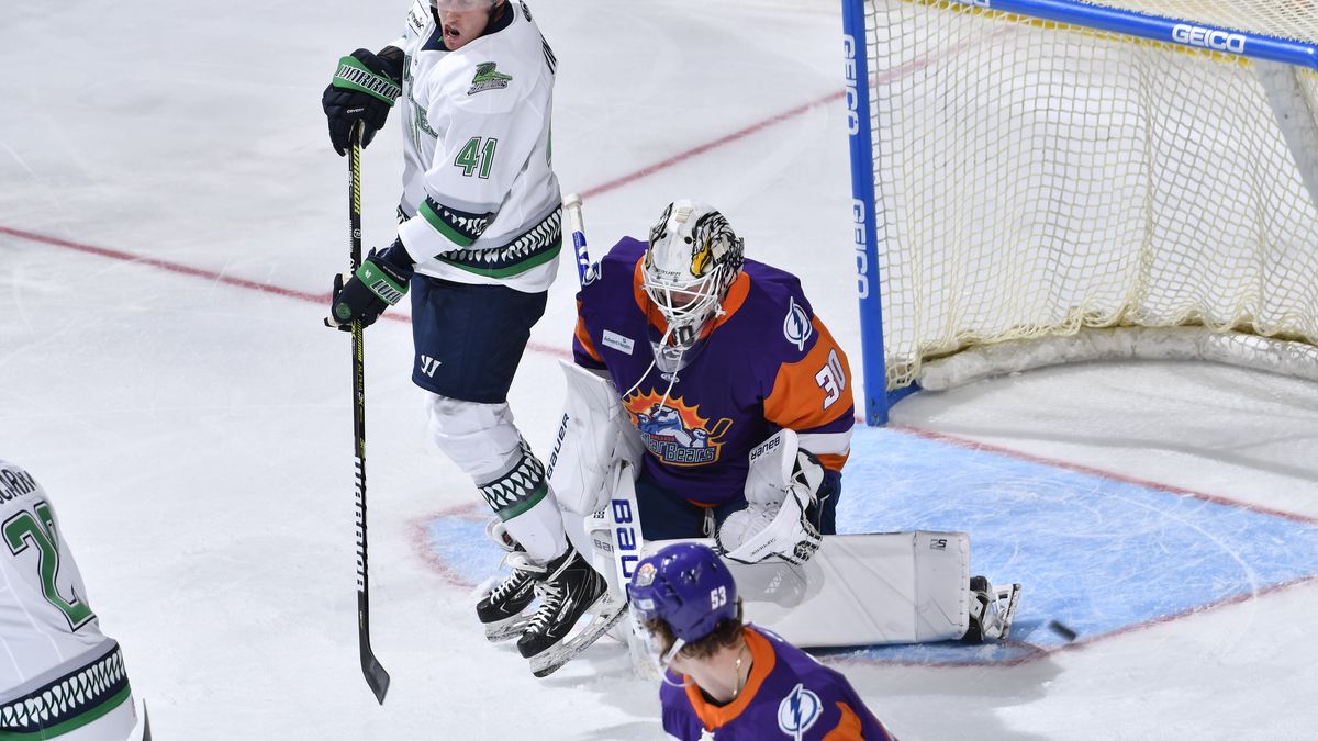 &#039;Blades unable to complete comeback in loss to Solar Bears