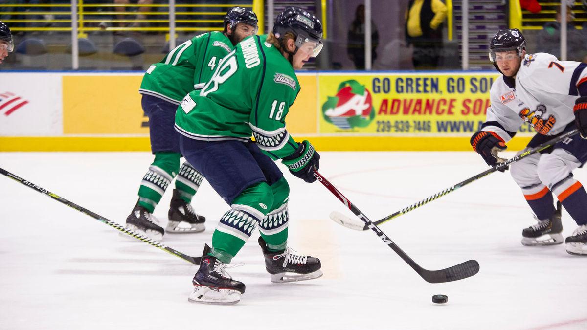 Forward Zach Magwood reassigned to Everblades from AHL&#039;s Admirals