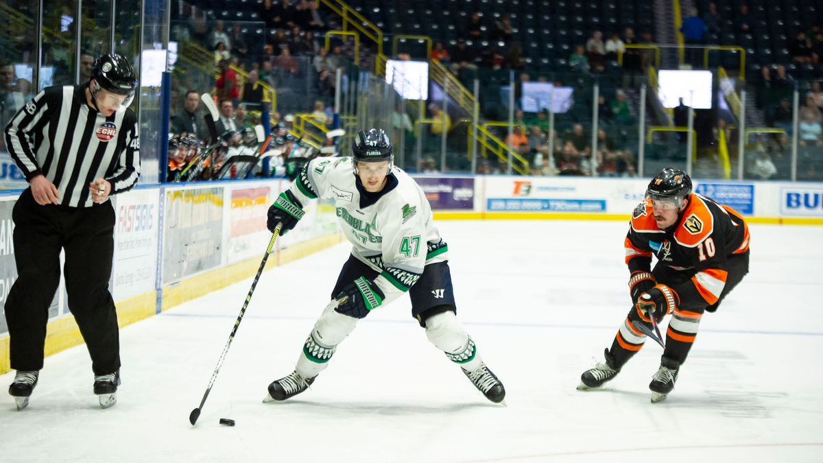 Roe named AMI Graphics ECHL Plus Performer of Month