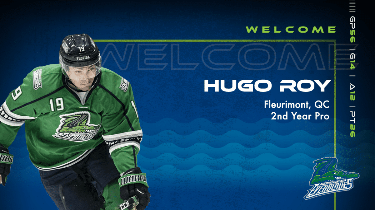 Roy Returns to Everblades