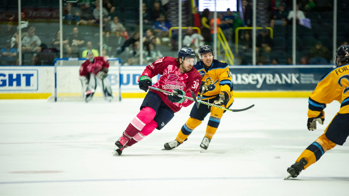 Photo Submissions Now Open for Pink in the Rink Night