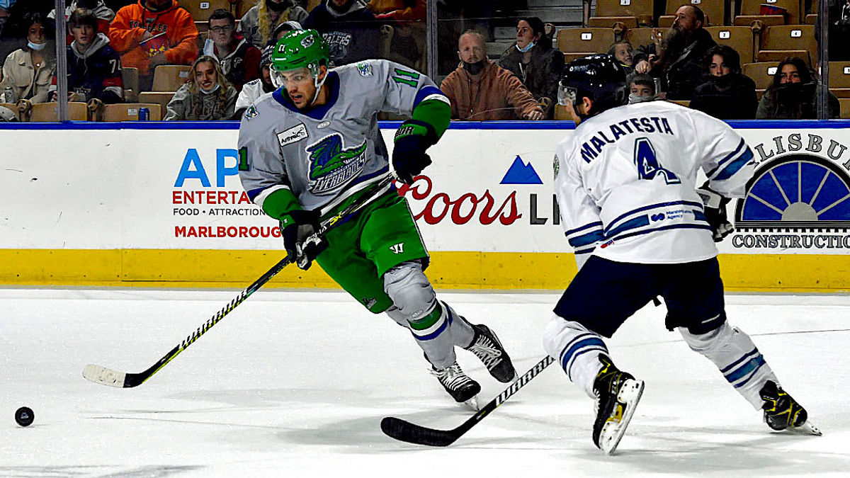 Everblades Buckle Up for a Four-Game Ride this Week