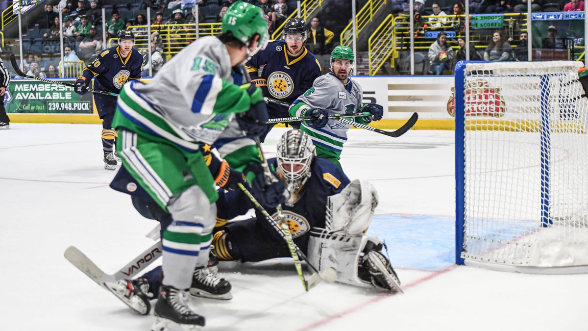 First-Place Everblades Return Home to Face Sunshine State Rivals