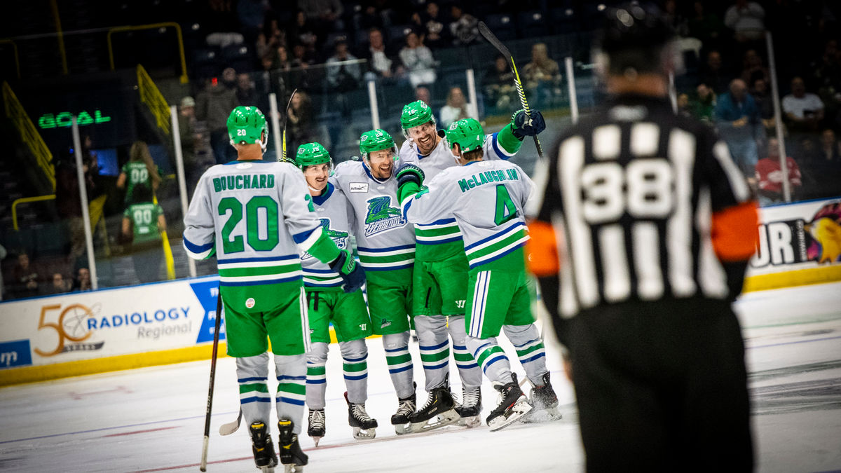 Everblades and Gladiators to Joust for Three at Hertz Arena