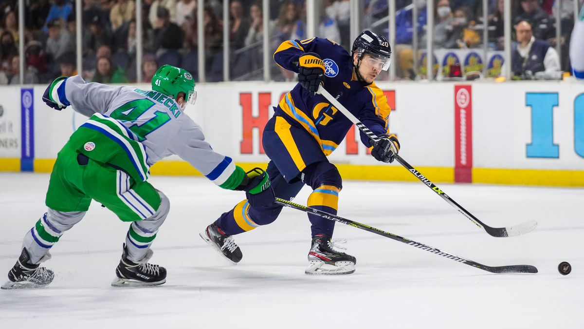 Everblades Welcome Stingrays For Two Games