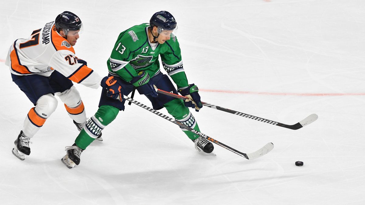 EVERBLADES NIPPED BY SWAMP RABBITS IN OT
