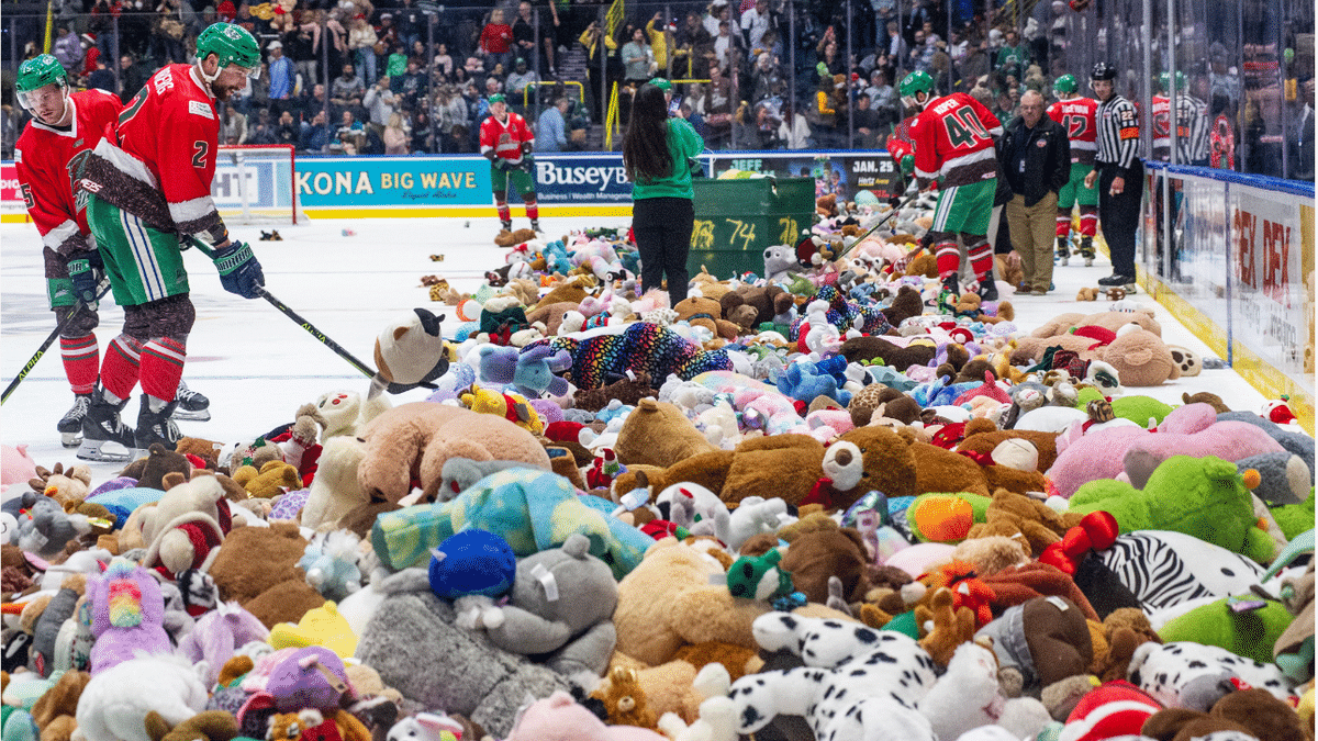 Florida Everblades Heartwarming Tradition Continues with the Return of Teddy Bear Toss