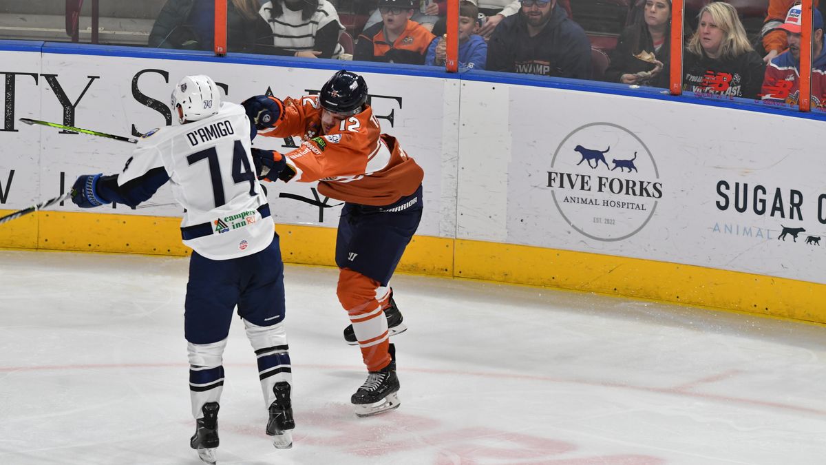 SWAMP RABBITS DOWNED BY ICEMEN