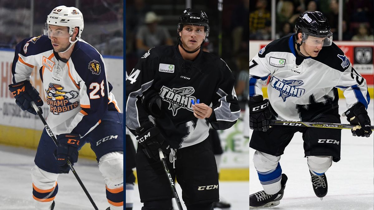 Swamp Rabbits Acquire D Lewis, F Franko from Idaho