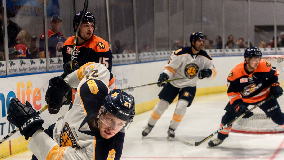 Swamp Rabbits Fall in Finale