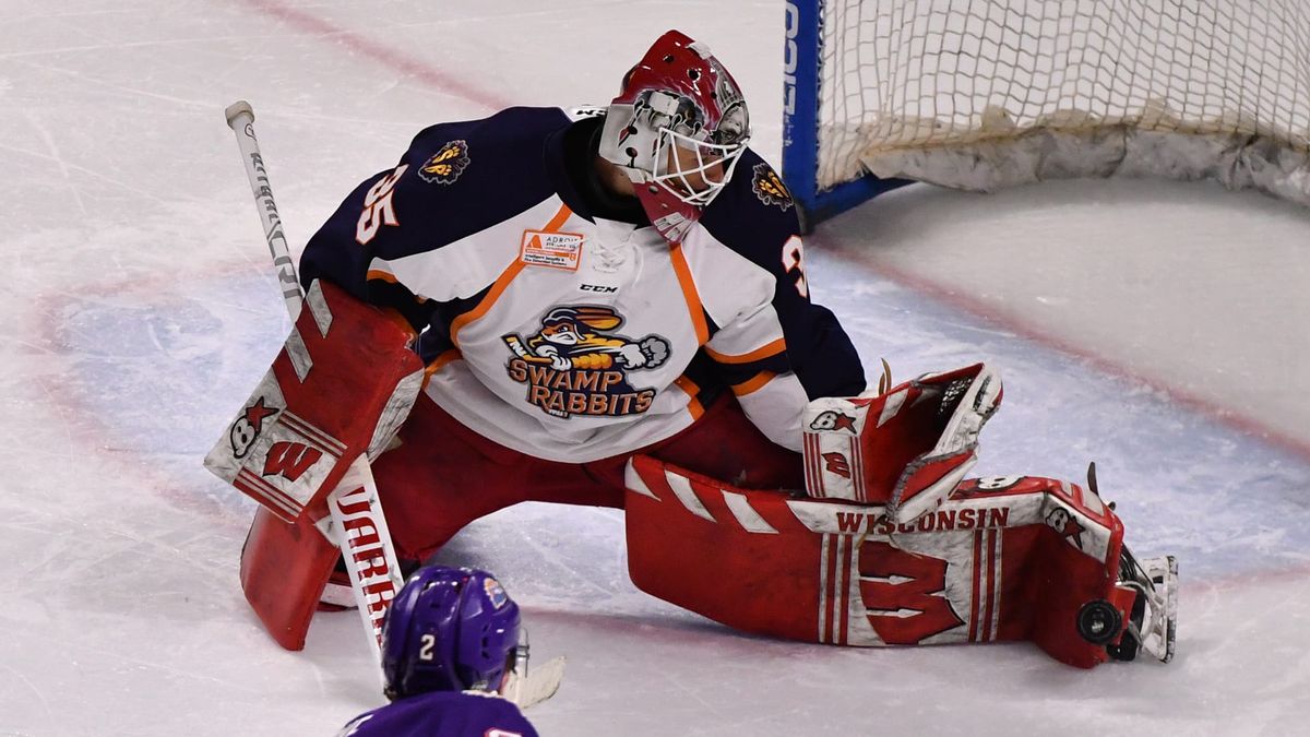 Goaltender Kyle Hayton Agrees to Terms with Swamp Rabbits