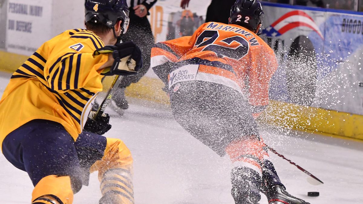 Admirals Outslug Swamp Rabbits on Friday
