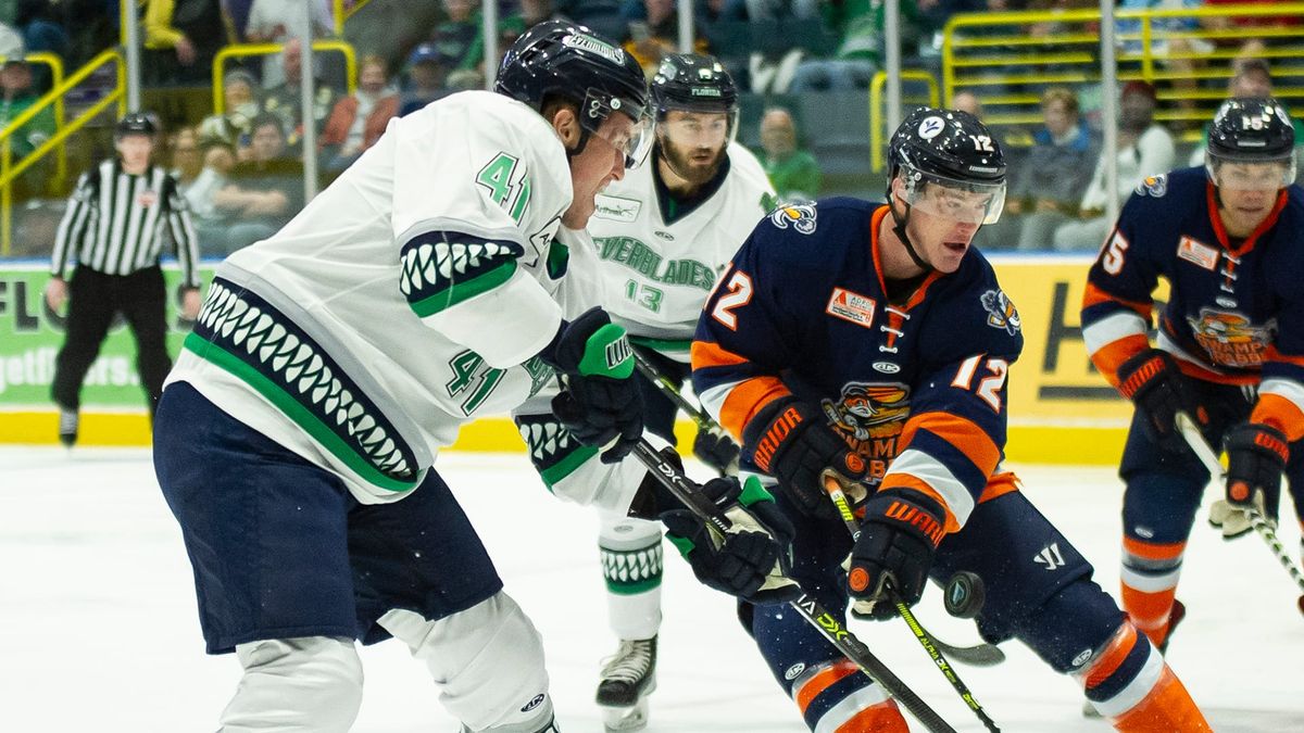 Swamp Rabbits Stymied by Everblades