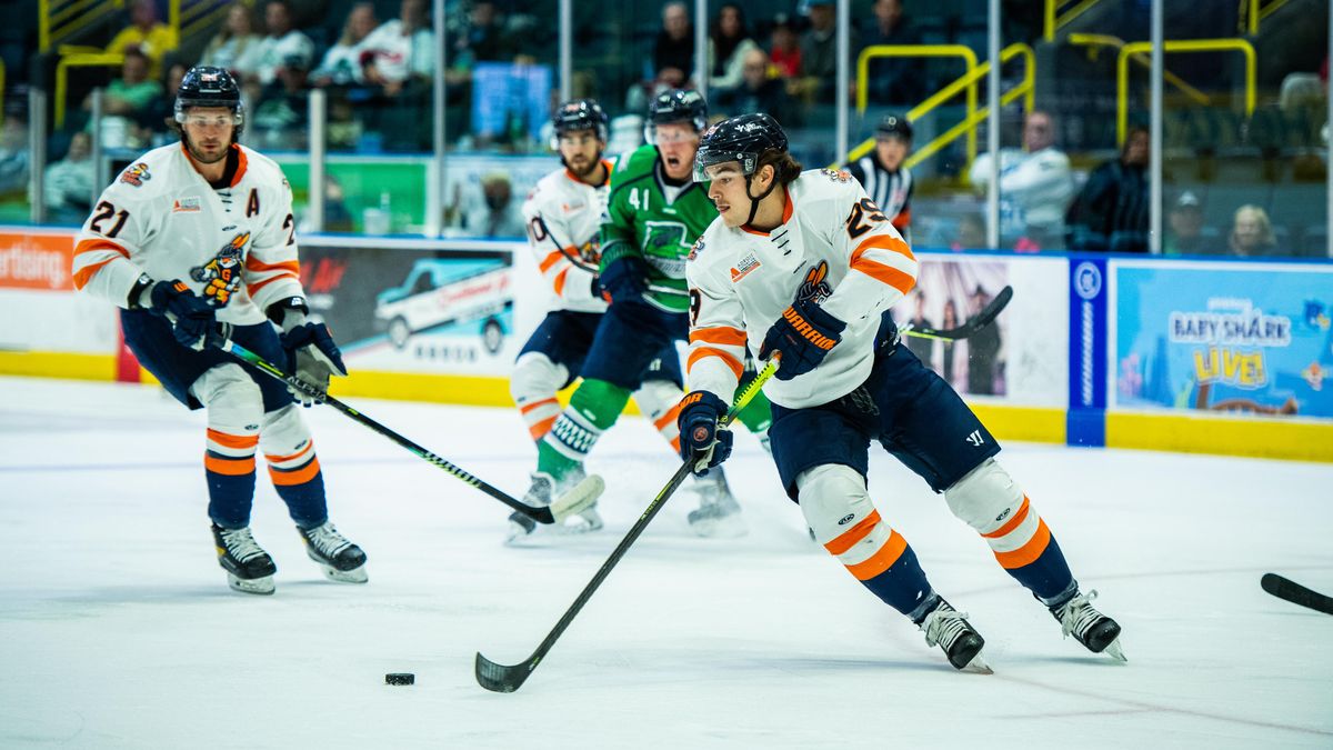 RABBITS DROP 2-1 OVERTIME DECISION AGAINST THE EVERBLADES