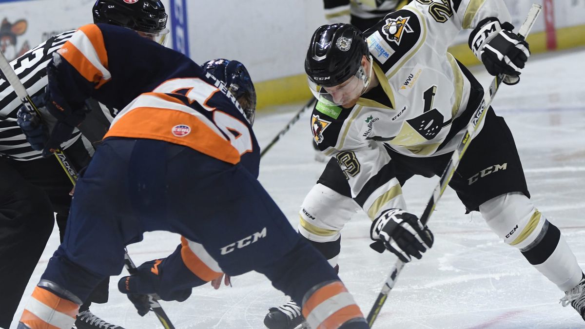 Nailers Take Wild One Over Swamp Rabbits