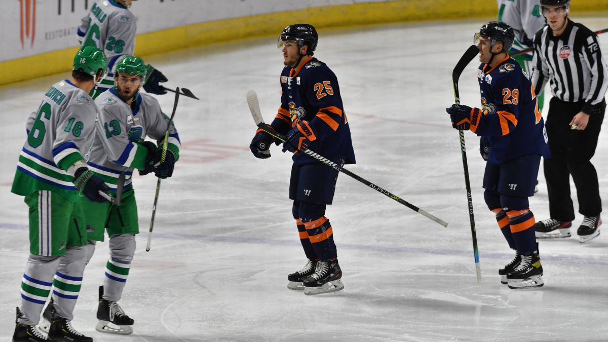 SWAMP RABBITS SCORE FIRST BUT FALL 3-1 TO EVERBLADES