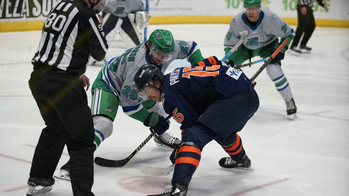CAMERON SCORES LATE, SWAMP RABBITS TOP EVERBLADES 3-2 TO WIN THIRD STRAIGHT