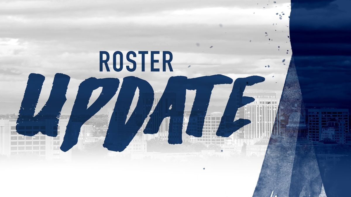 Steelheads Announce Roster Moves Ahead of Road Weekend
