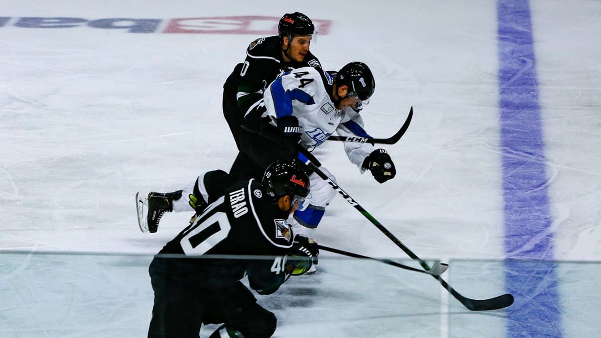 PREVIEW: Game #1 – Steelheads @ Grizzlies