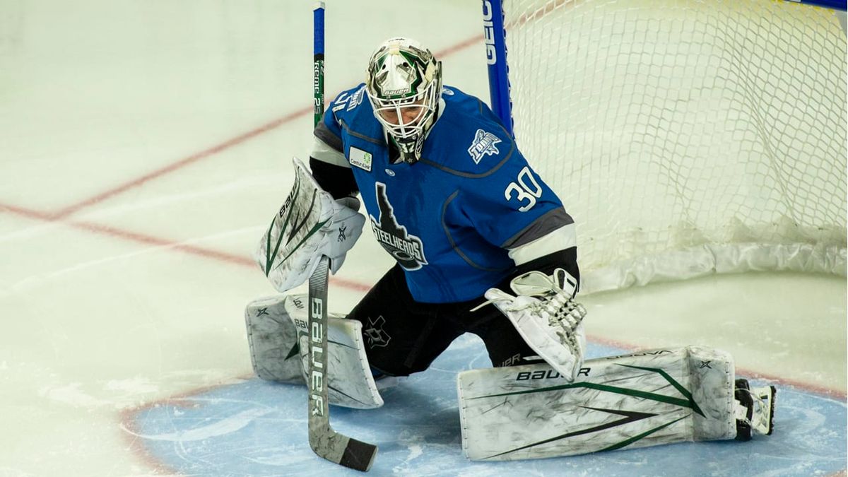 Colton Point Assigned to Steelheads from Texas Stars