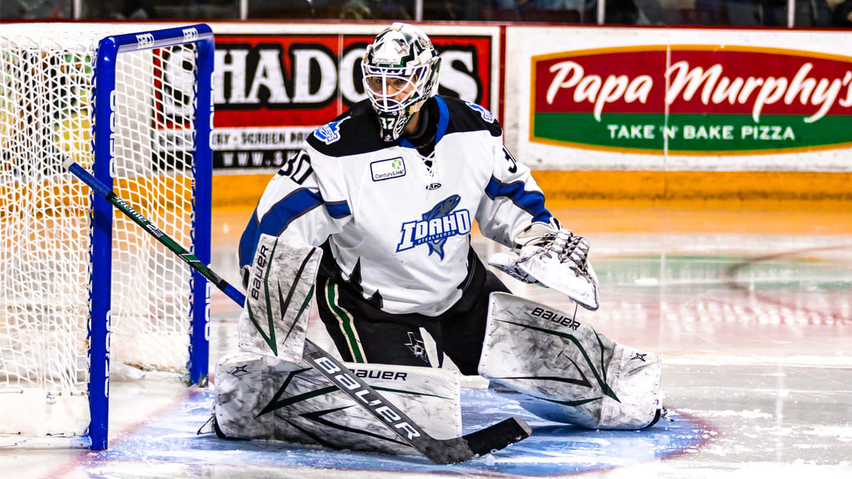 Goaltender Colton Point Reassigned to Texas Stars