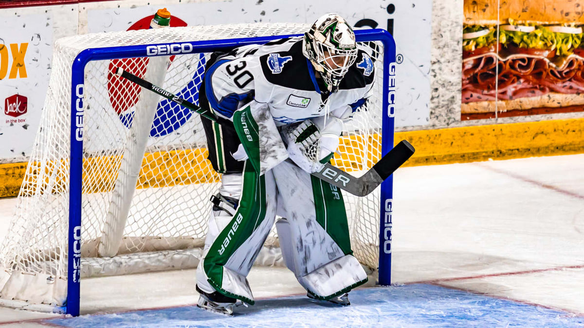 Colton Point Named Warrior Hockey ECHL Goaltender of the Week