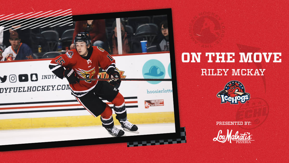 Riley McKay Recalled by the IceHogs