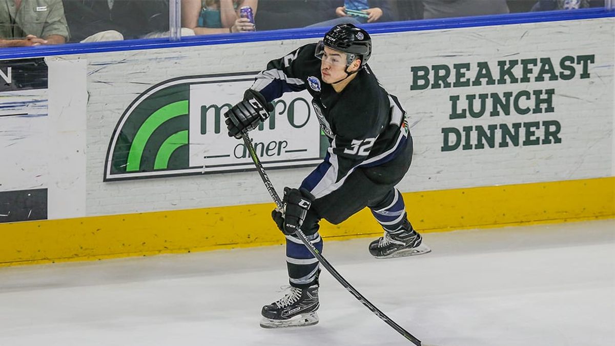 Woods Signs Tryout with Moose